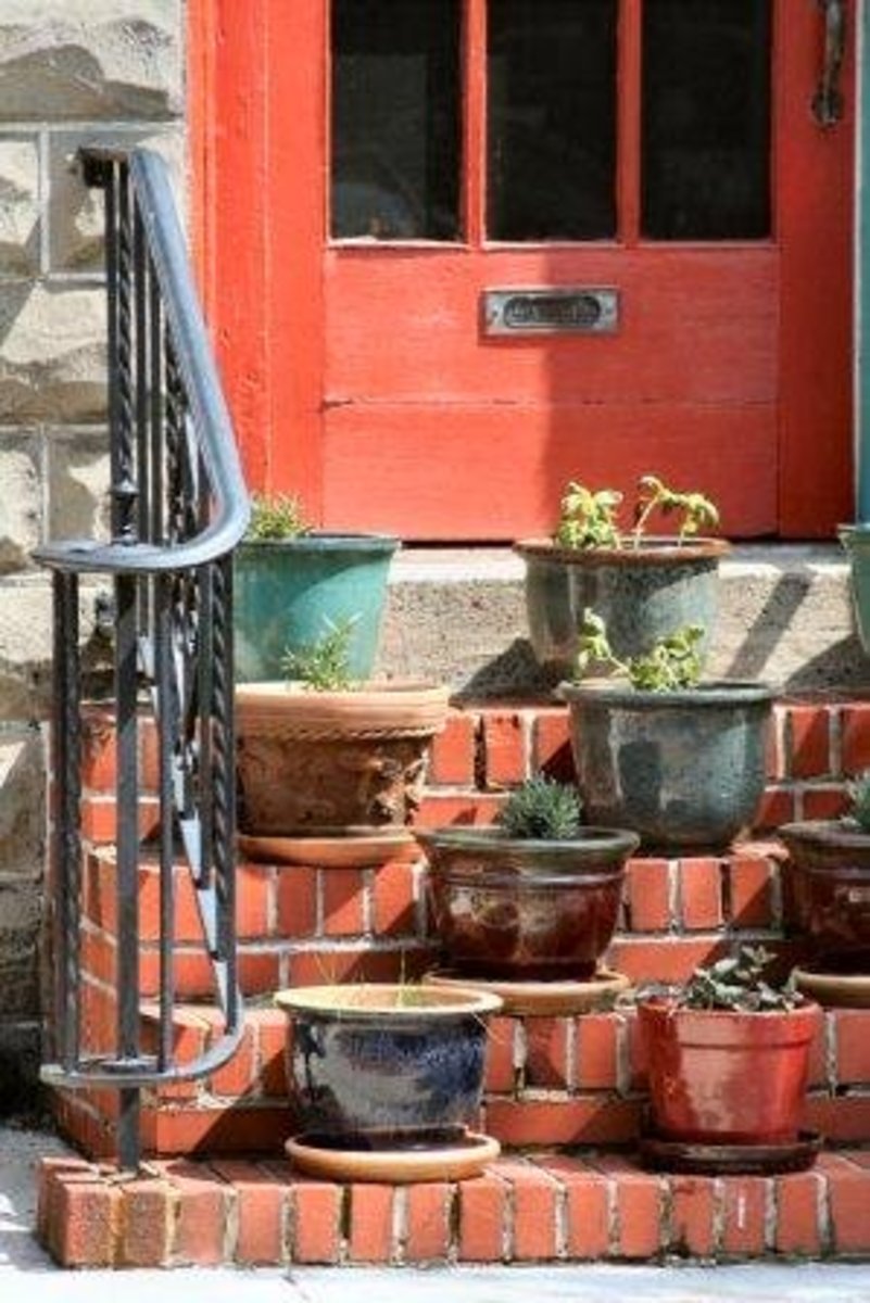 growing_herbs_in_pots