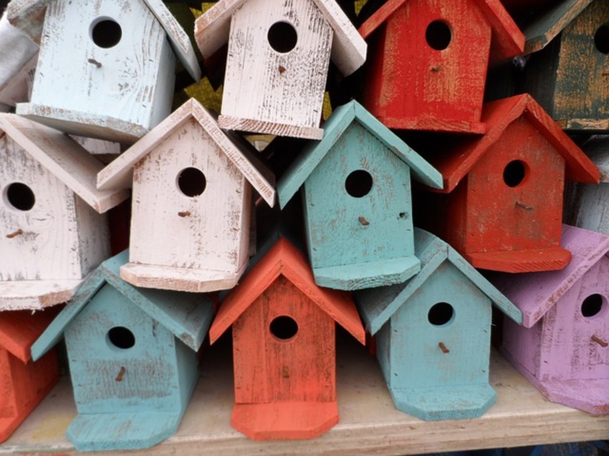 These birdhouses are great for smaller birds.