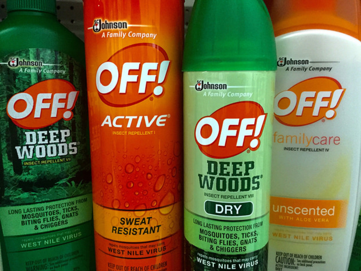 How to Kill Flies HubPages