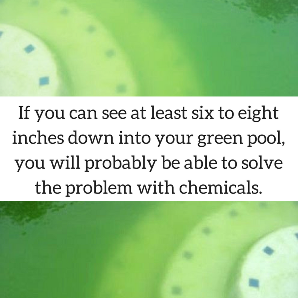 Green to Clean: How to Clear Up a Green and Cloudy Swimming Pool ...