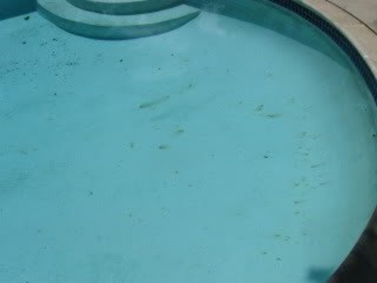 Pool with black algae spots.