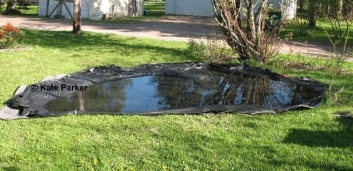 How to Build a Reflecting Pond Dengarden