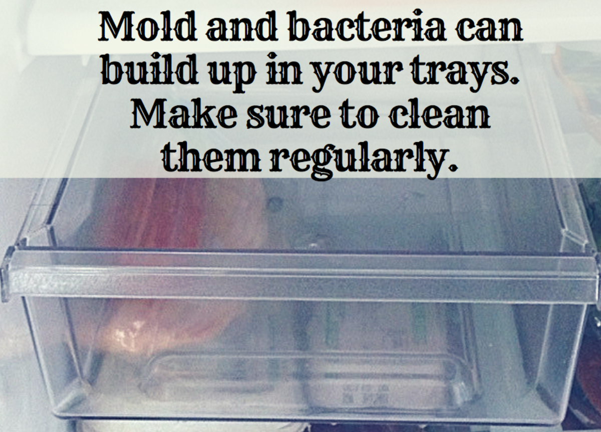 How to Clean Your Refrigerator's Interior and Coils Dengarden