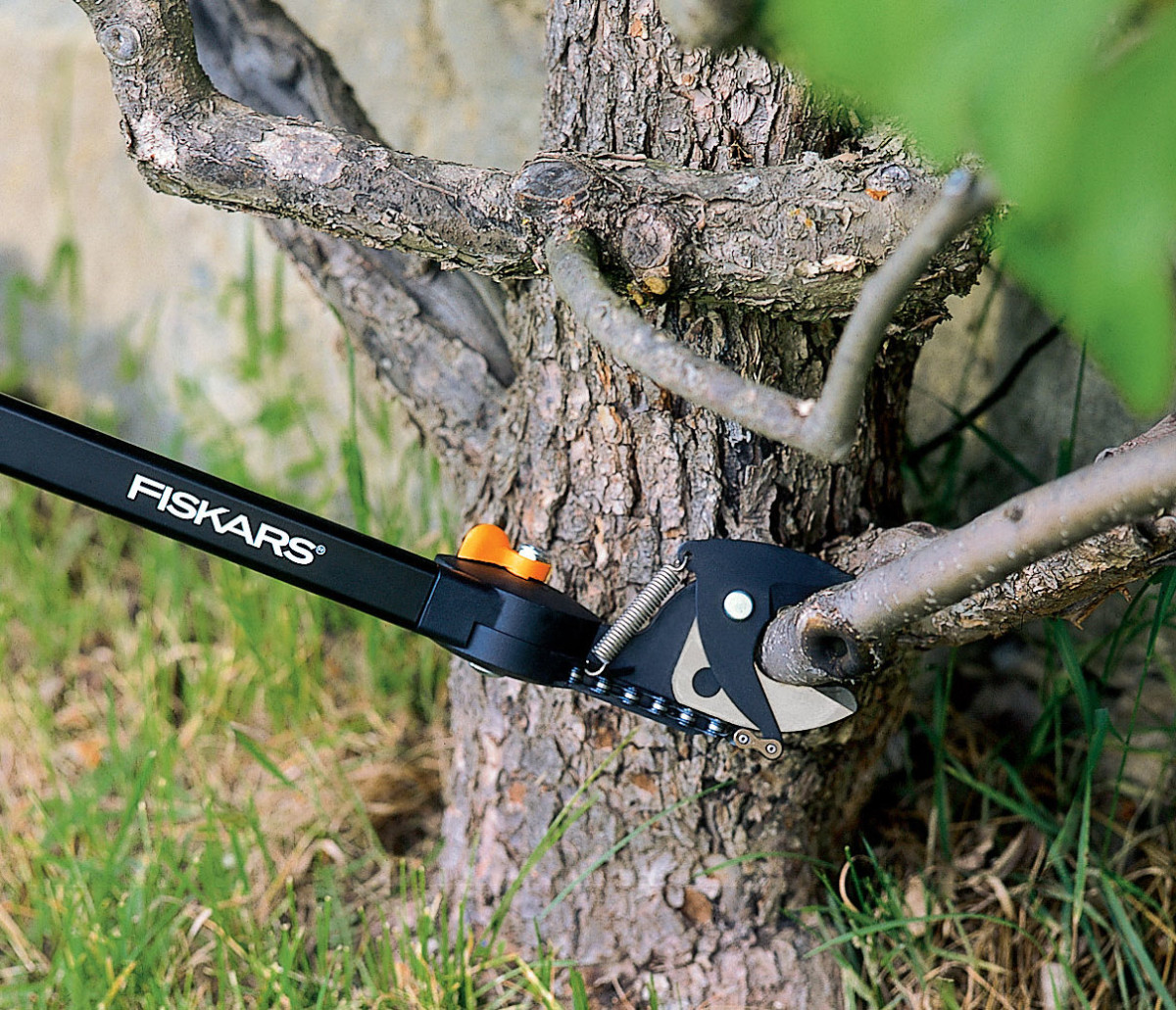 Pruners with an adjustable head angle are ideal  for low level work.