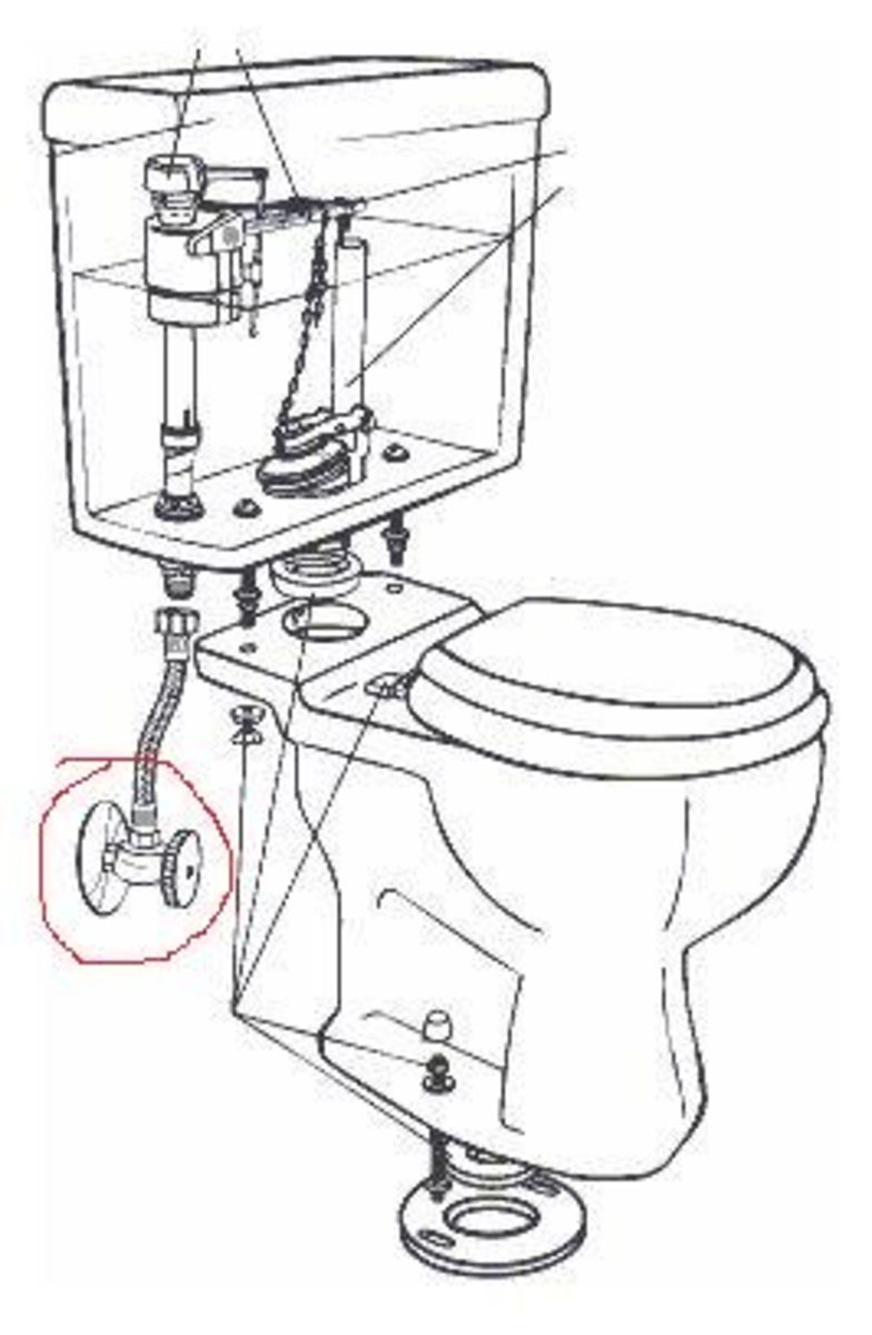 Trade Secrets for a Professional Toilet Installation Dengarden
