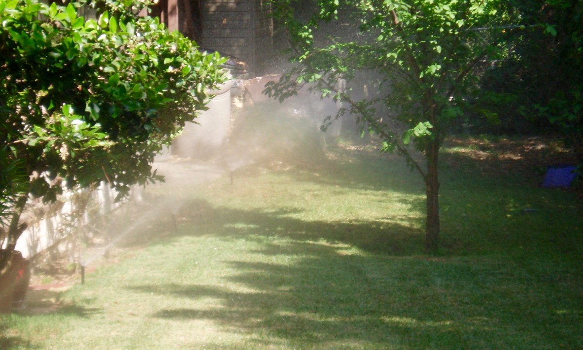 Spray head nozzles in operation. Note the continuous spray that saturates the lawn. This lawn is small and protected, so runoff is not the problem that lawns on a bank would be.