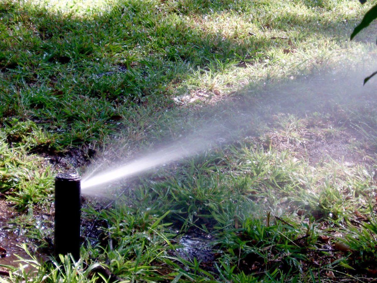50 x Plastic Mist Misting Nozzle Sprinkler for Plant Flower Cooling System 
