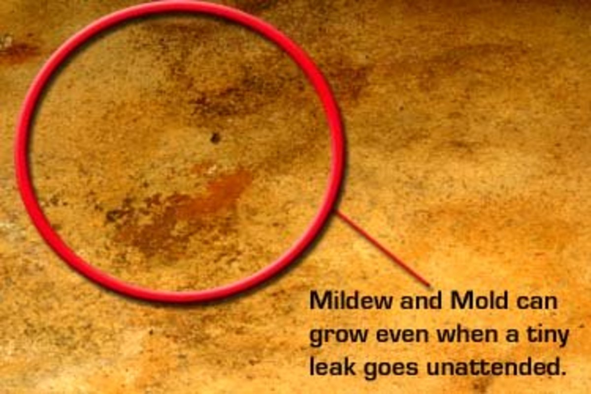 A tiny, unattended leak can become a big problem with mold and mildew. 