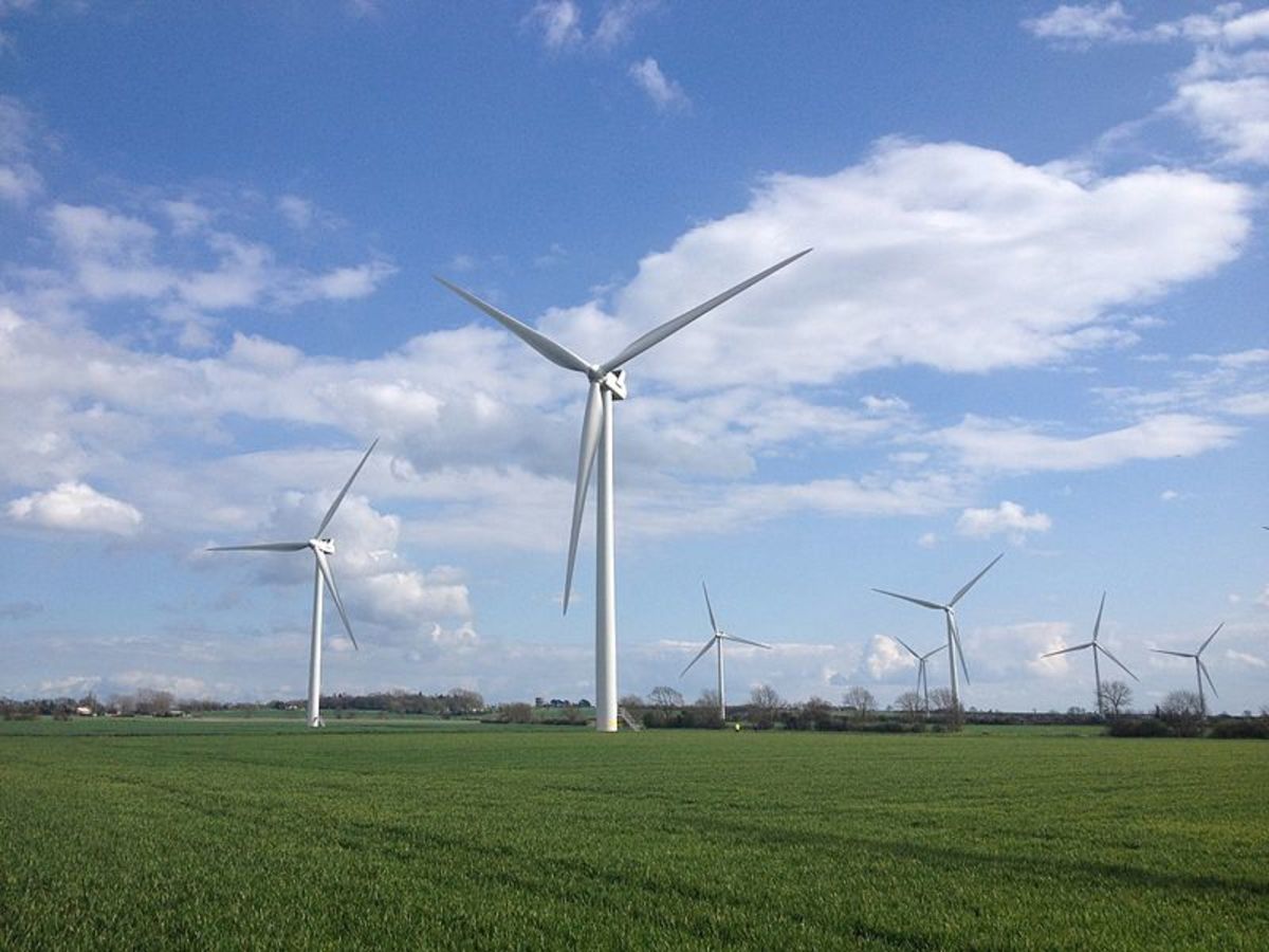 A wind farm