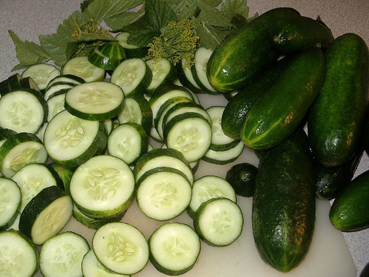 Cucumbers can be sliced and then chilled. You can sprinkle the cucumbers with salt and pepper or marinade them in vinegar for an hour or so. 