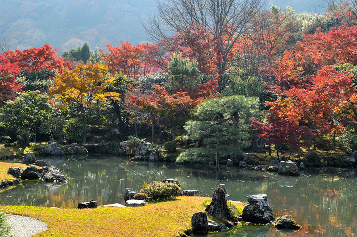 A Japanese Garden at Tenriu-ji, Japan