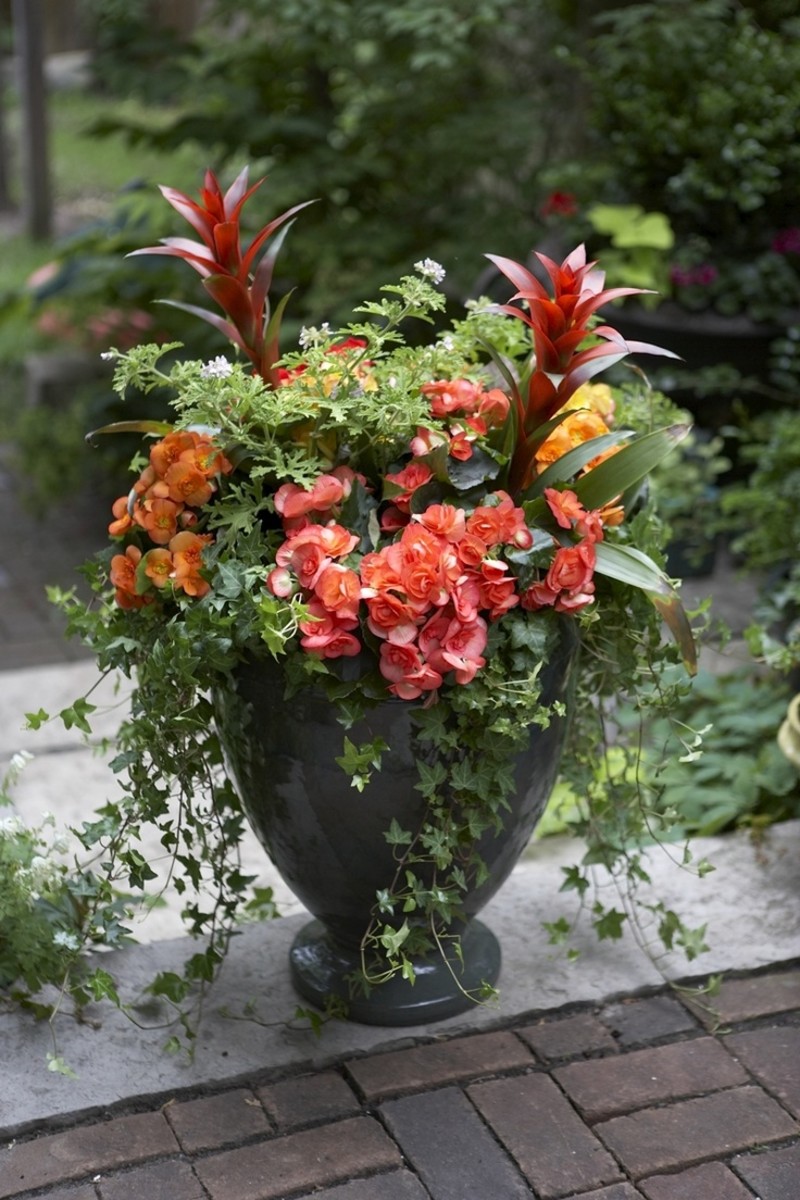 Unleash your creativity with easy container gardens using the popular concept of the "thriller, filler, and spiller" combo.