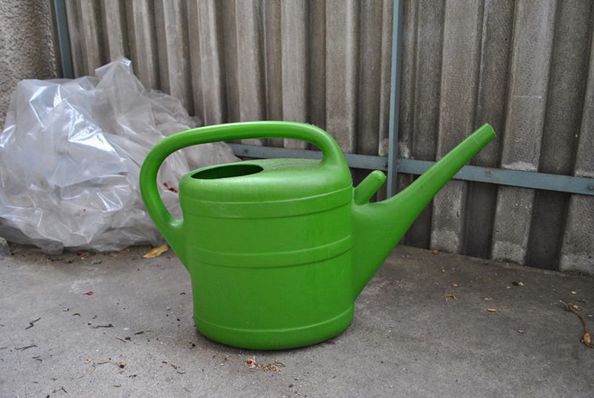 2 gallon watering can