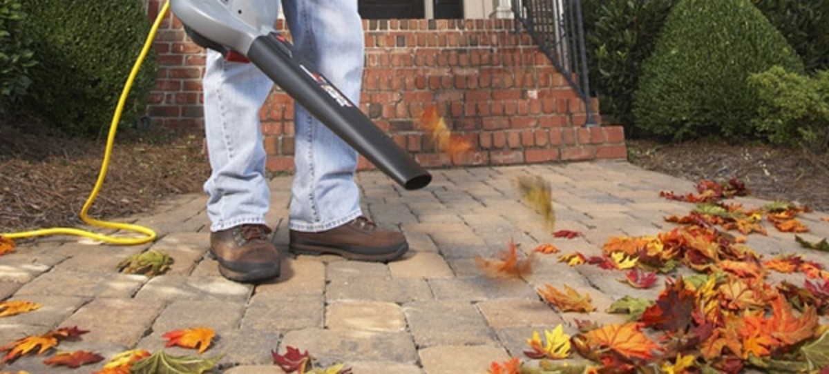 Some people think leaf blowers are more of a help than they are a hindrance. The article from which this photo was taken weighs in.