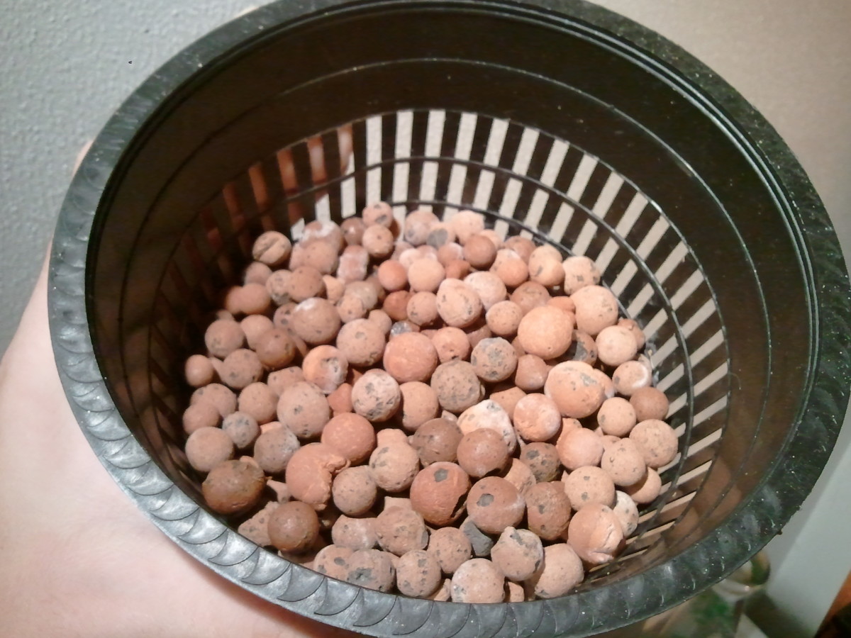 Expanded clay aggregate inside a net pot
