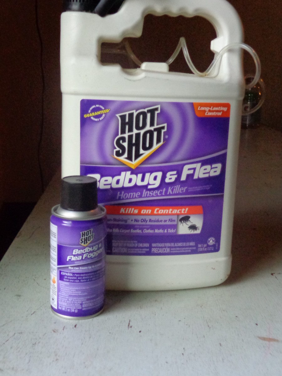 Hot Shot Bed Bug and Flea consumer review. You must use the flea spray and fogger together.