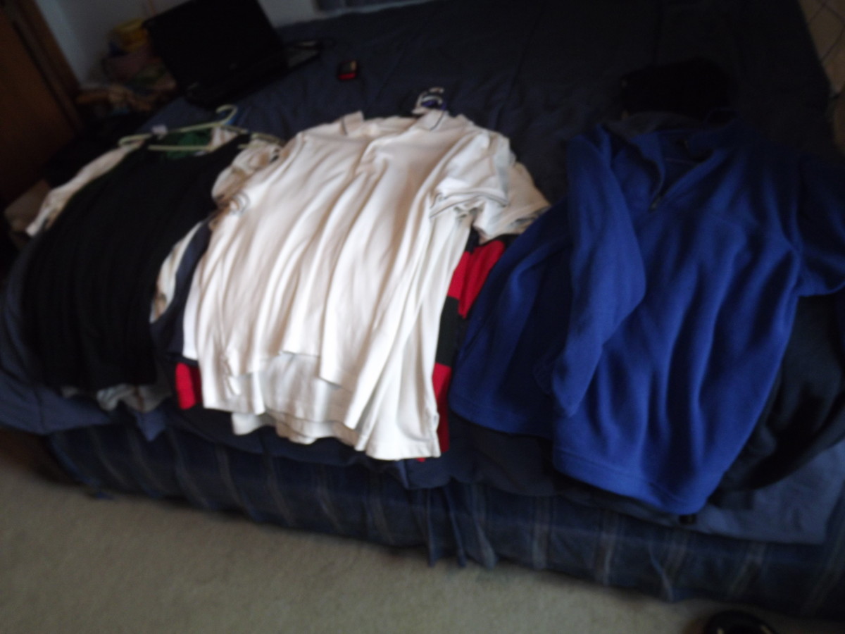 How to Clean and Organize Your Home Dengarden