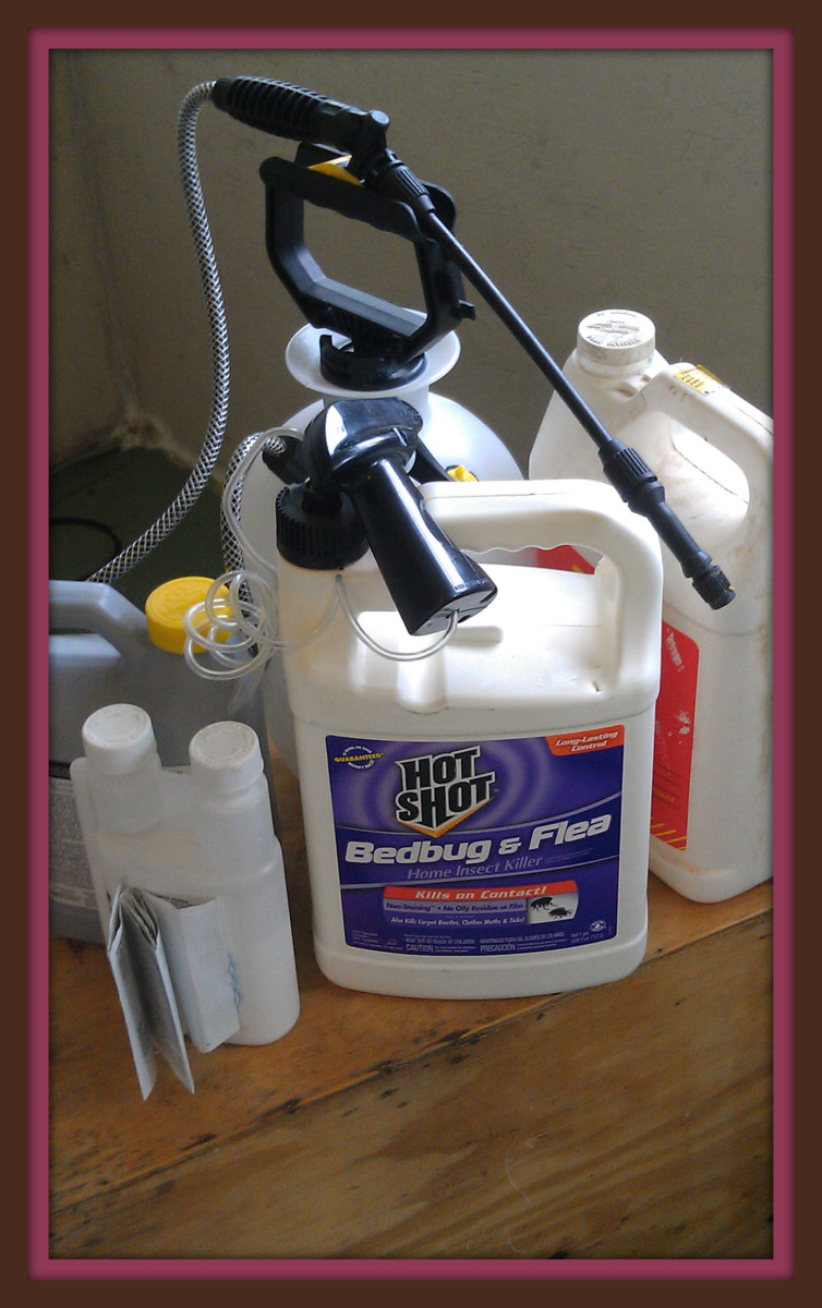 There are many bed bug sprays on the market. It is  imperative to choose wisely. 