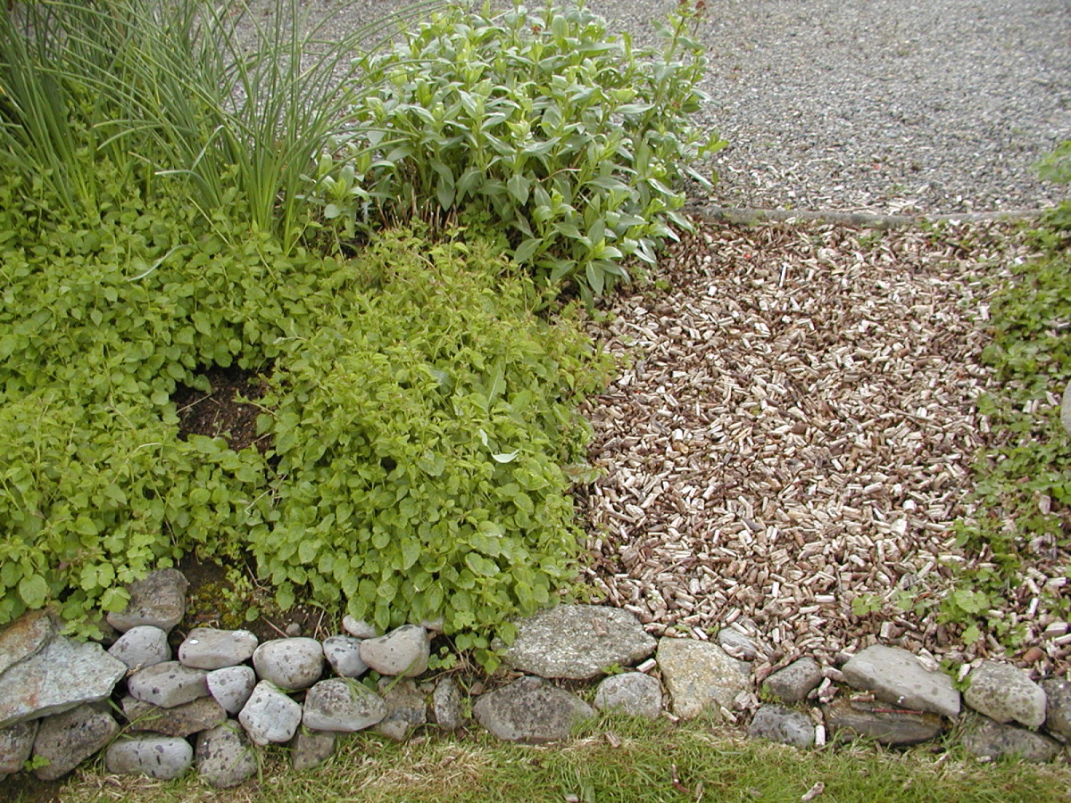 Chipped branches used for covering beds or as path covering