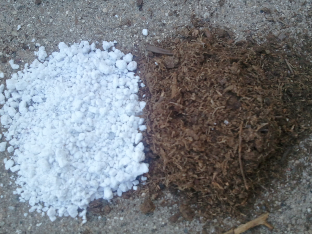 Perlite (left) and peat moss (right)