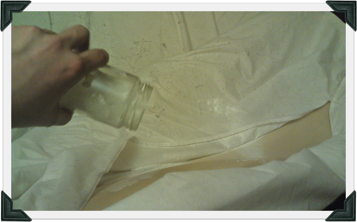 Apply diatomaceous earth inside your mattress cover. Using a special duster is much easier than using a jar.