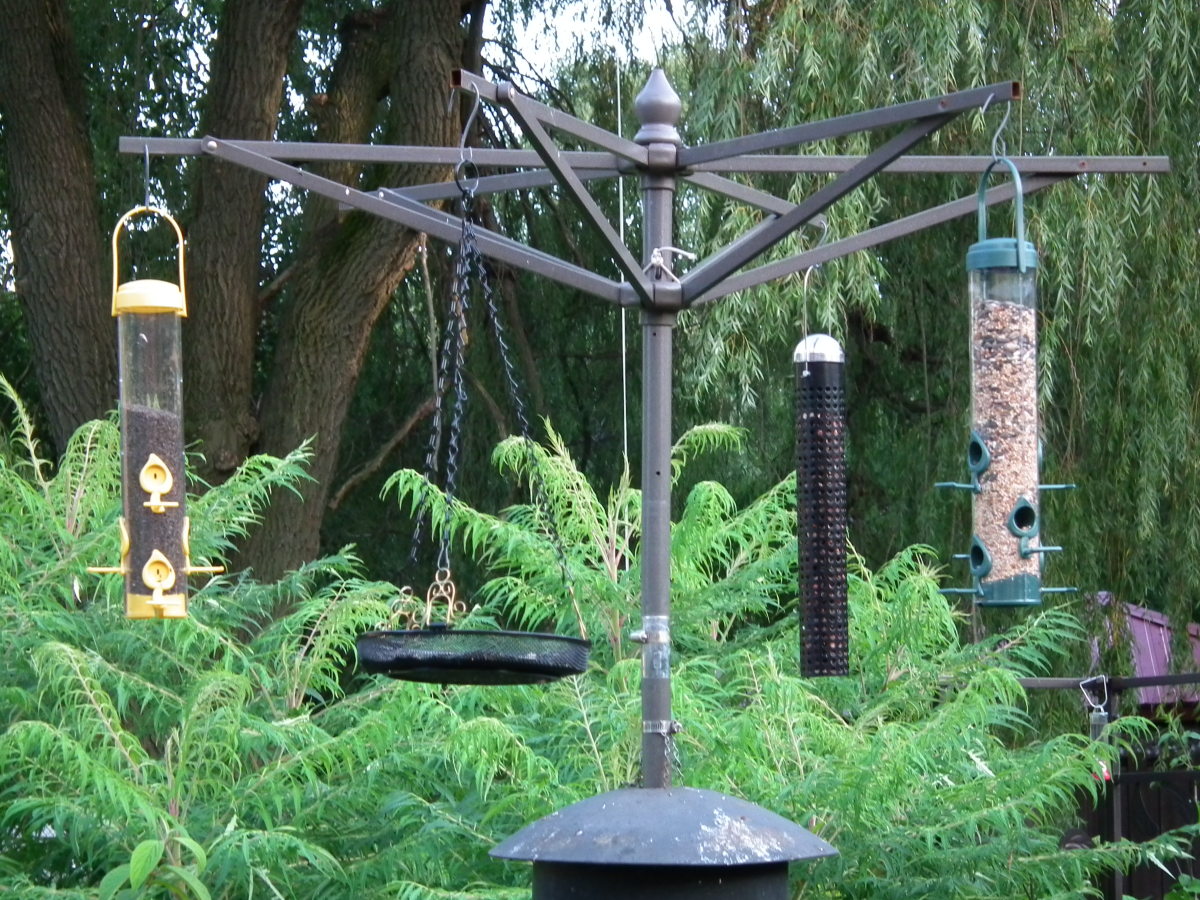 Plenty of room for a variety of bird feeders.
