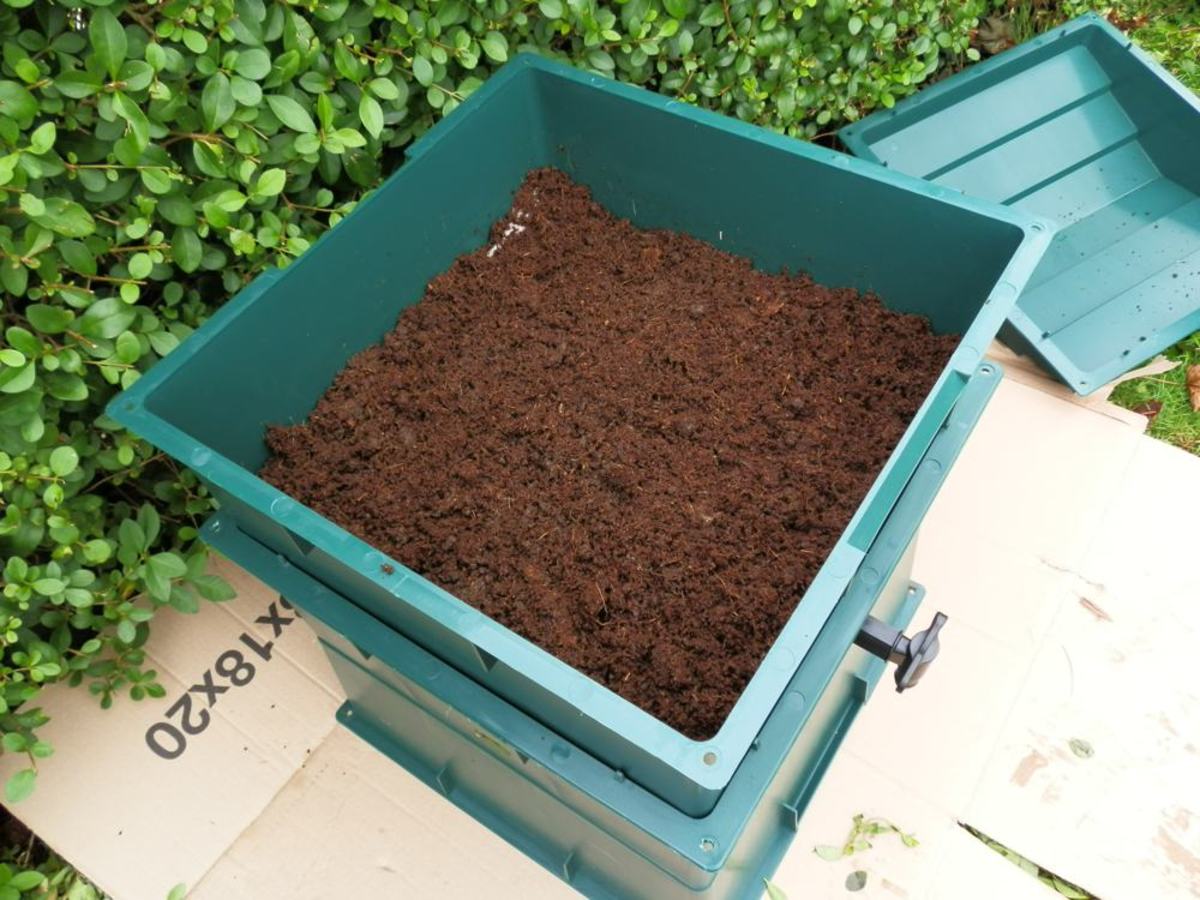 how to set up a verimculture bin For tortoise