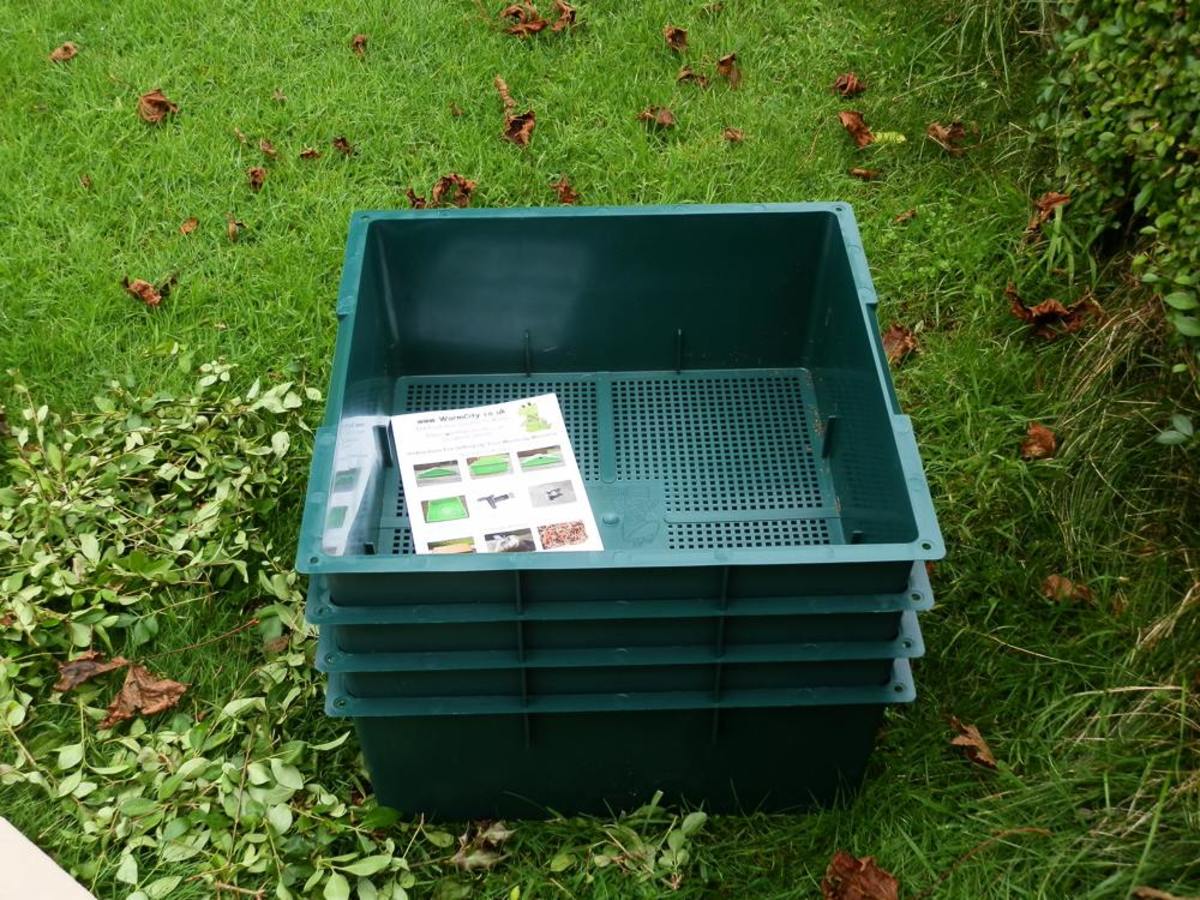 What Not To Put In A Worm Compost Bin at Paul Hastings blog