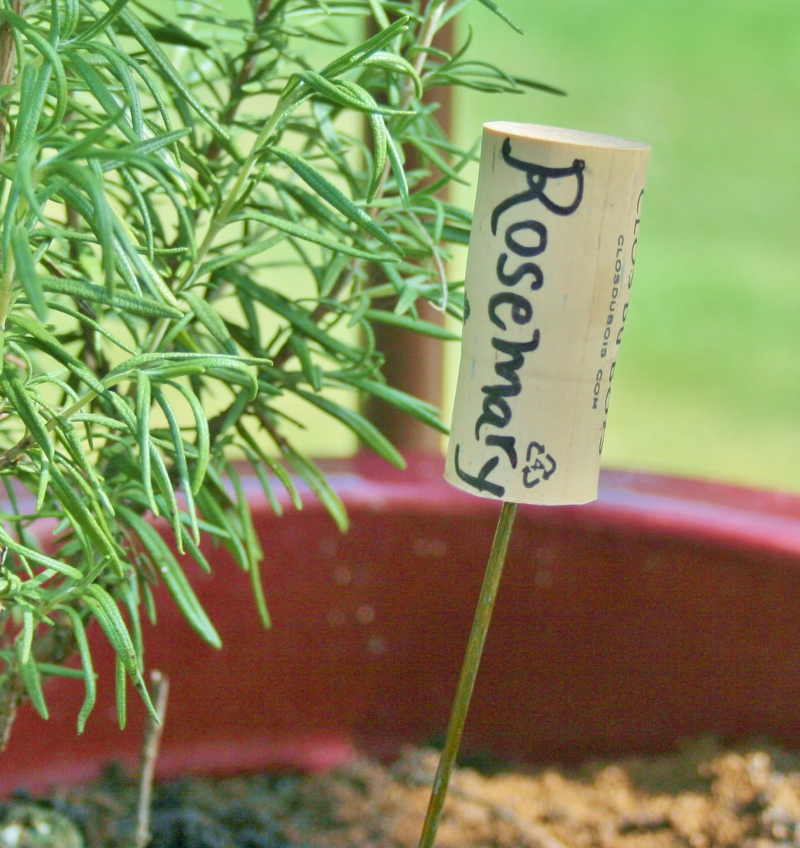 An old wine bottle cork, a bit of coat hanger wire & a Sharpie are all you need to make this cute plant marker.