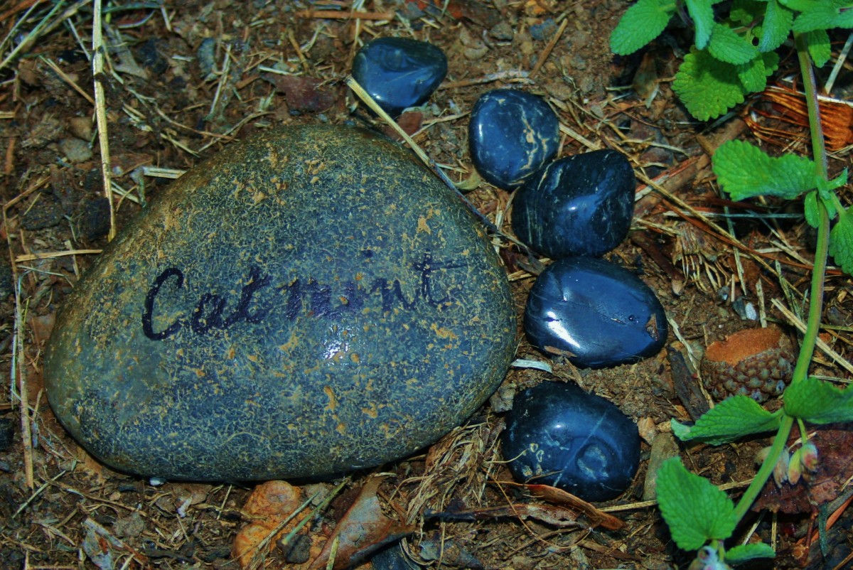 Rock Garden Markers: paint rocks to make markers for your plants