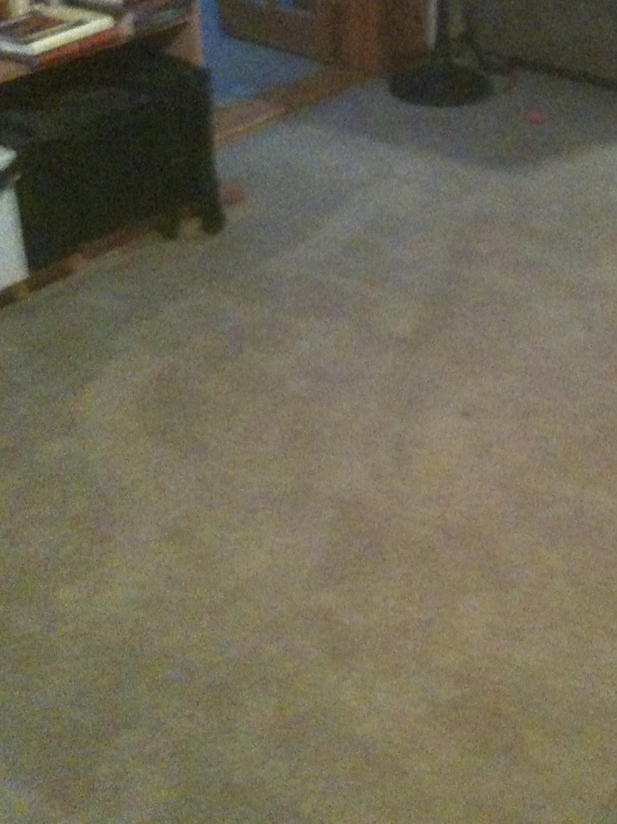 How to Use a Rug Doctor Steam Cleaner Dengarden