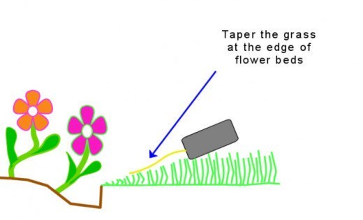 how-to-edge-a-flower-bed