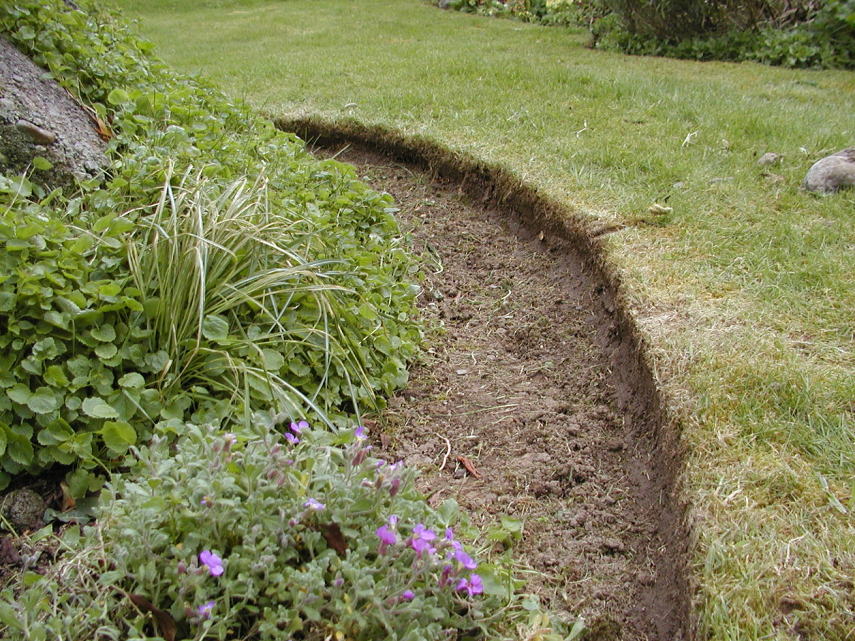 Lawn edge maintained with a trimmer