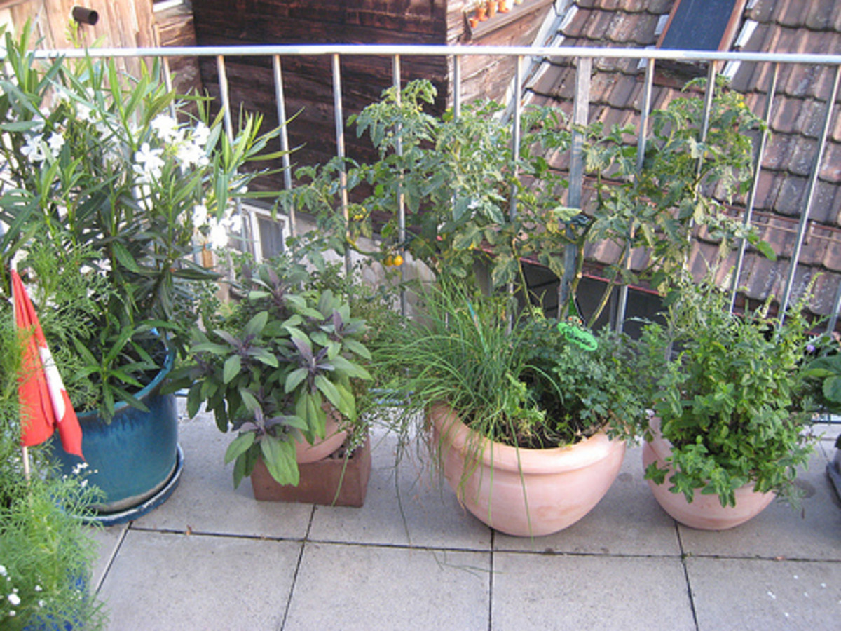 Making the Most of Your Small Balcony Dengarden