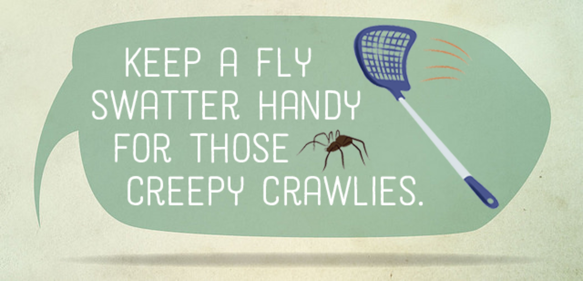 Keep a fly swatter handy for those creepy crawlies.