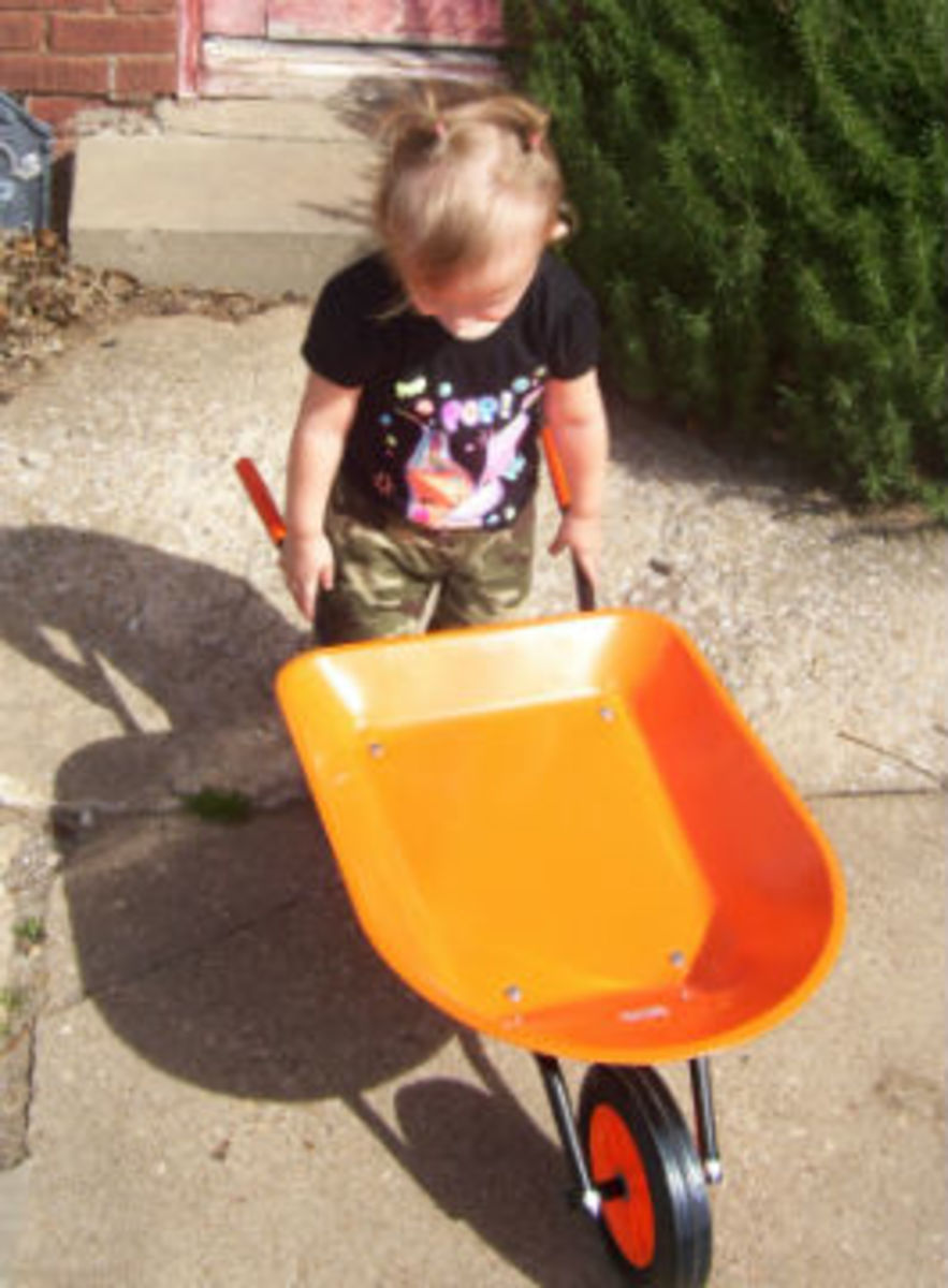 Moving dirt and rocks is much easier with a toddler-sized wheelbarrow.