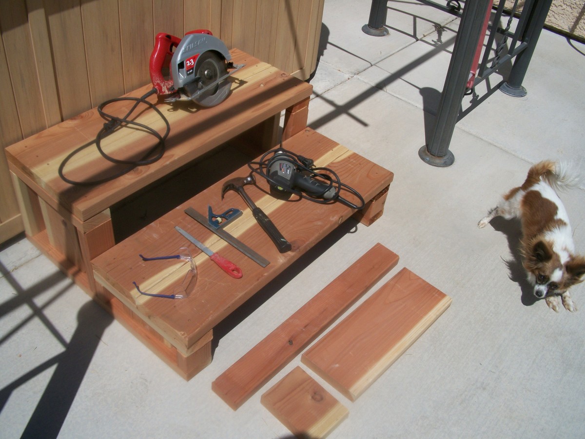 Circular saw, safety glasses, file, square, hammer, power drill with drive for screws, Papillon (optional). Not shown: tape measure, extension cord, 1-inch brush, very small paint roller. Loose boards in front of steps are what's left after cutting.