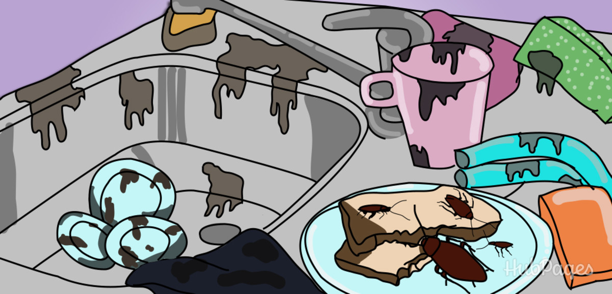 3 Steps to Prevent Kitchen Cockroach Eggs Dengarden