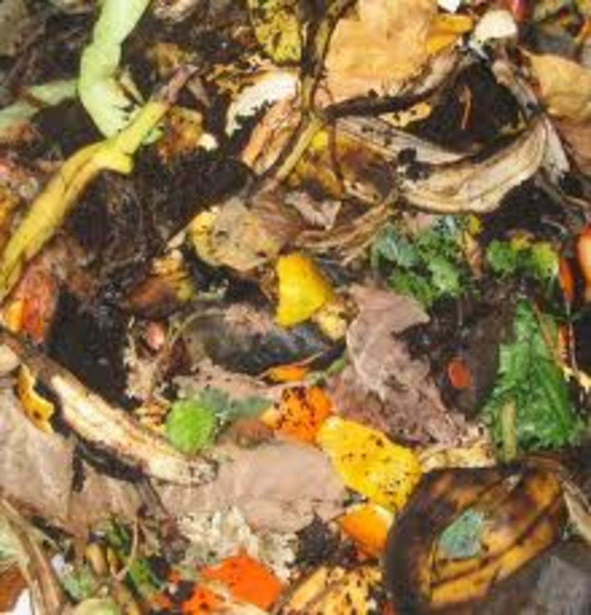 How to Use a Composting Bin or Create a Compost Pile Dengarden