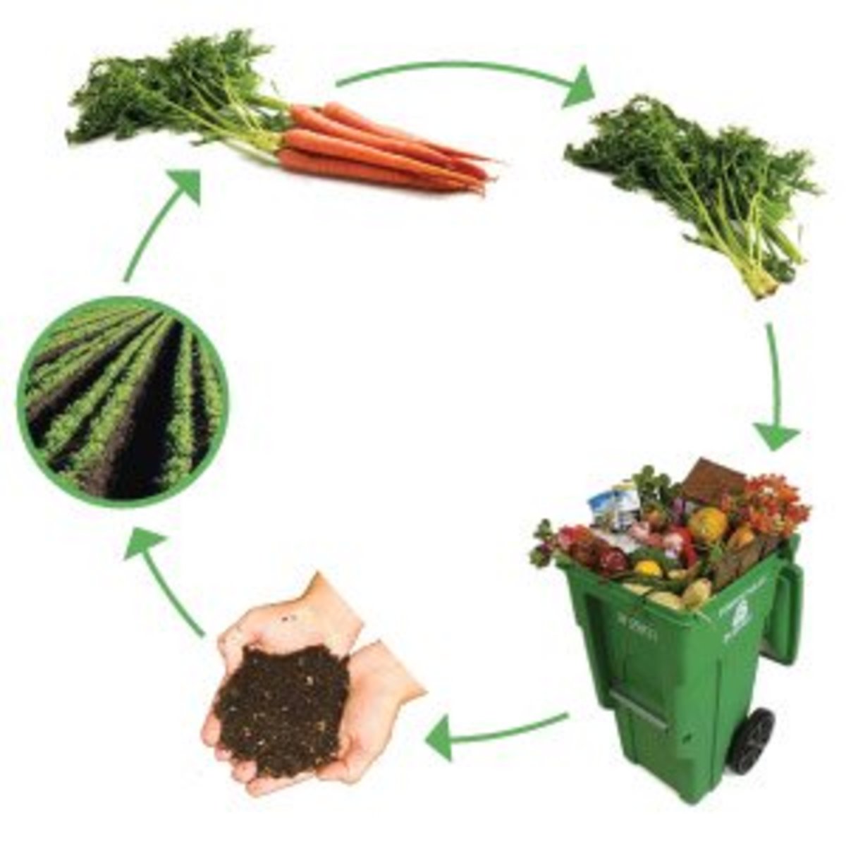 How to Use a Composting Bin or Create a Compost Pile Dengarden