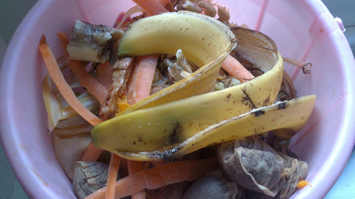 An example of what you can put in your compost from the kitchen