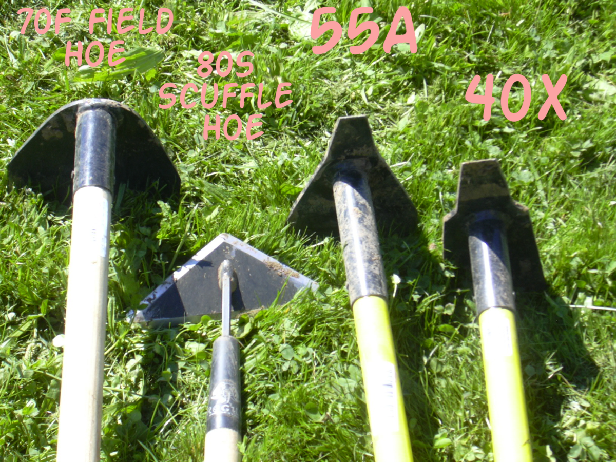 My four workhorse hoes.  The fifth one I'd bought (a general garden hoe) remained in the garage for this project.