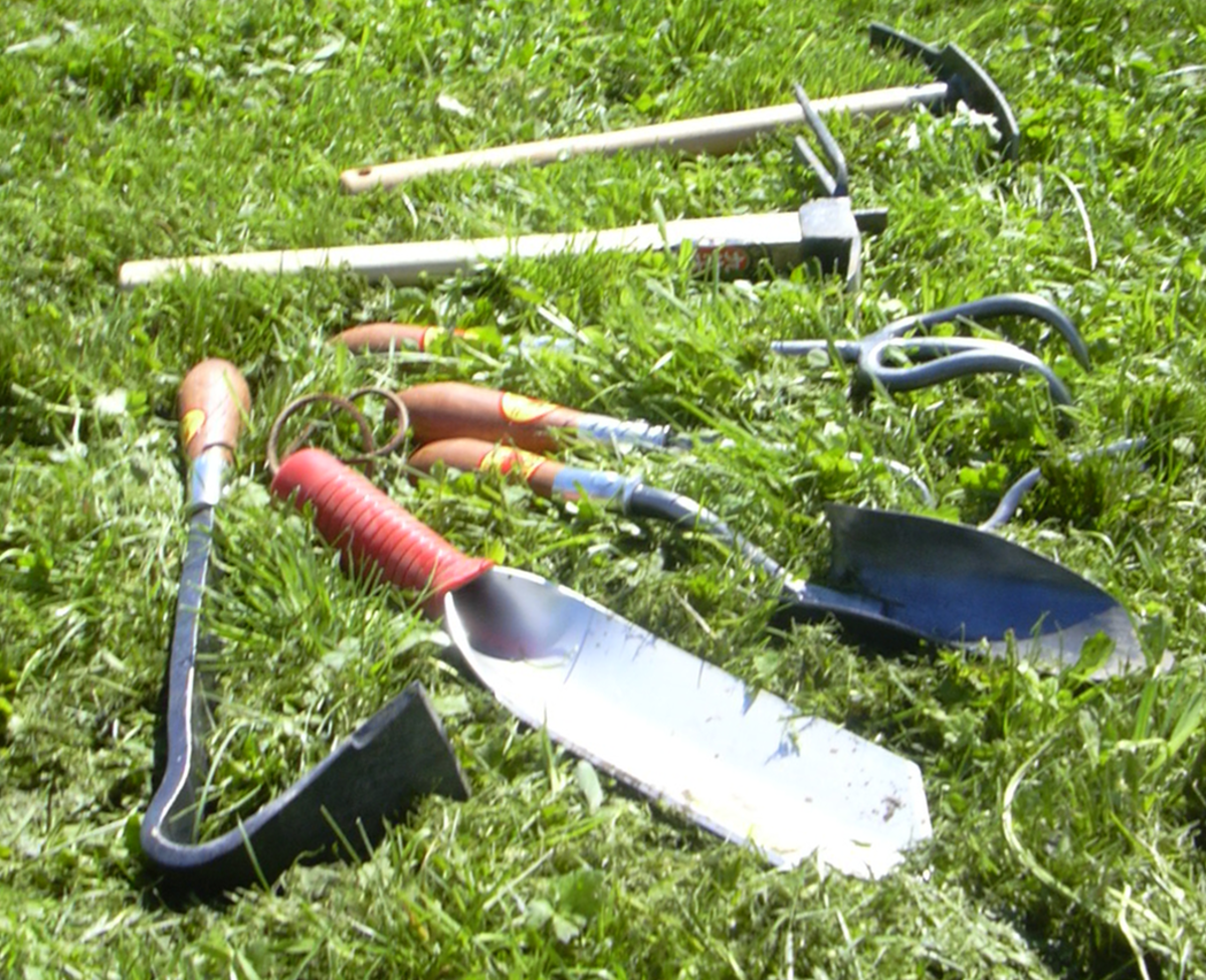 Note the Red Pig Tools hoe on the left, next to the red-handled Wilcox All-Pro Digging Trowel, and the forked Japanese squid hoe and hoedag in the background.  Any of these would work well.