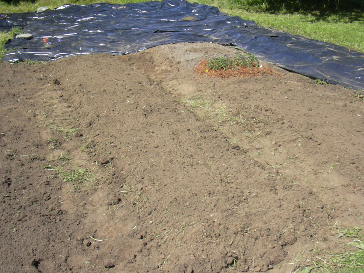 One Section of the New Garden, formerly lawn, now ready for planting in raised beds.