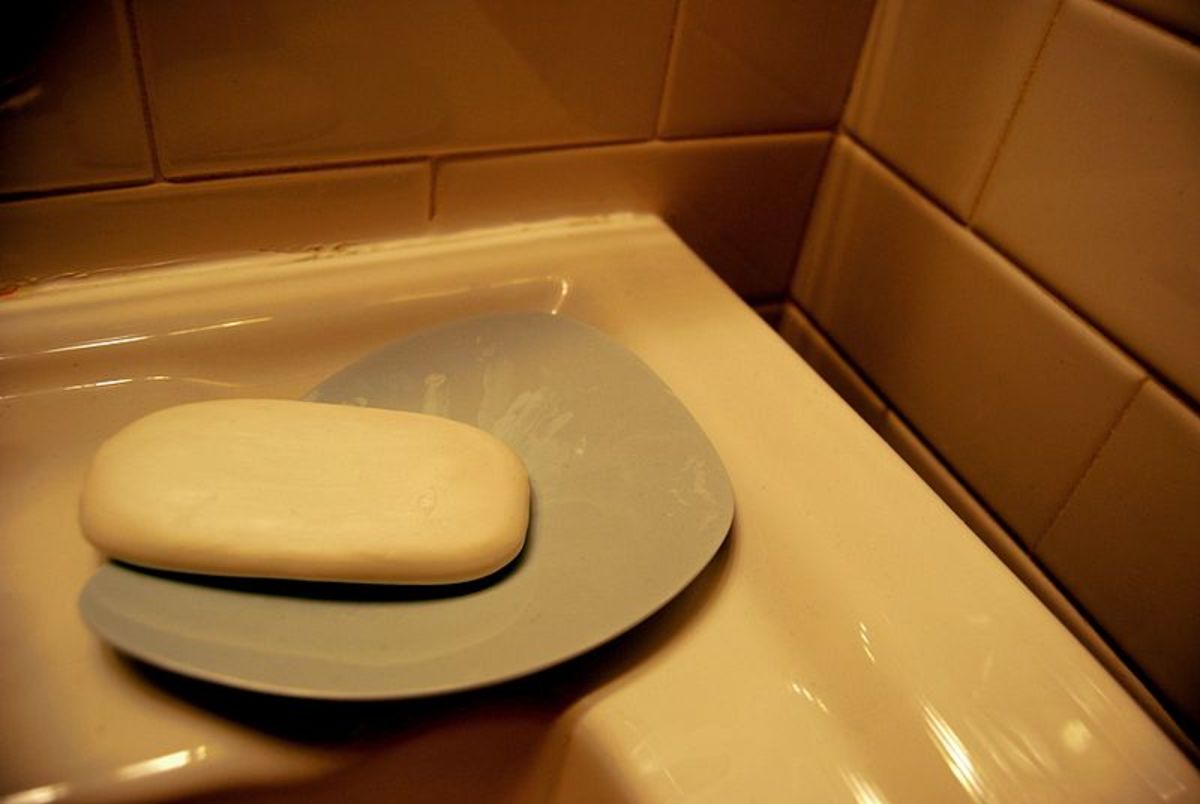 A Brief Overview of Natural Cockroach Repellents Dengarden