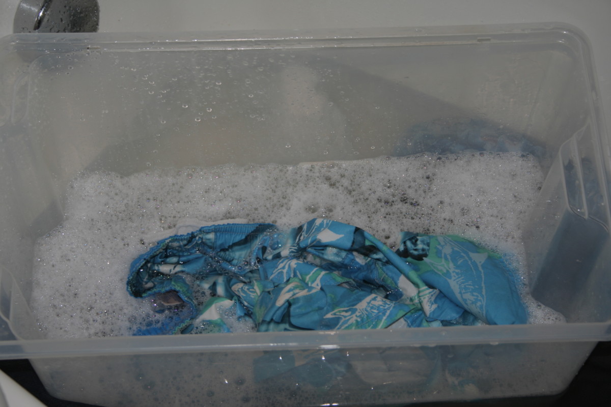 Add detergent and water to one bin.