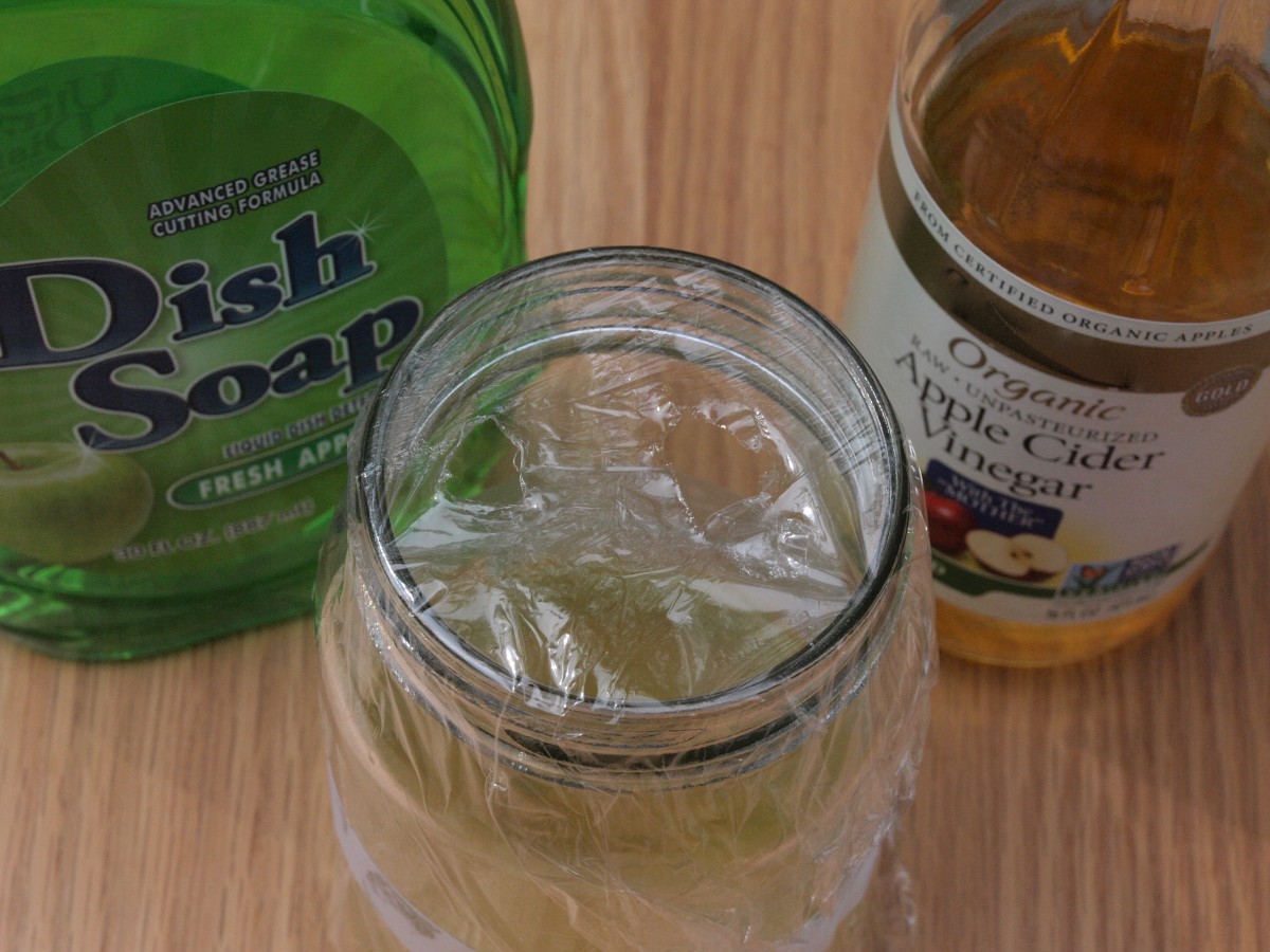 What you'll need to make a vinegar fly trap.