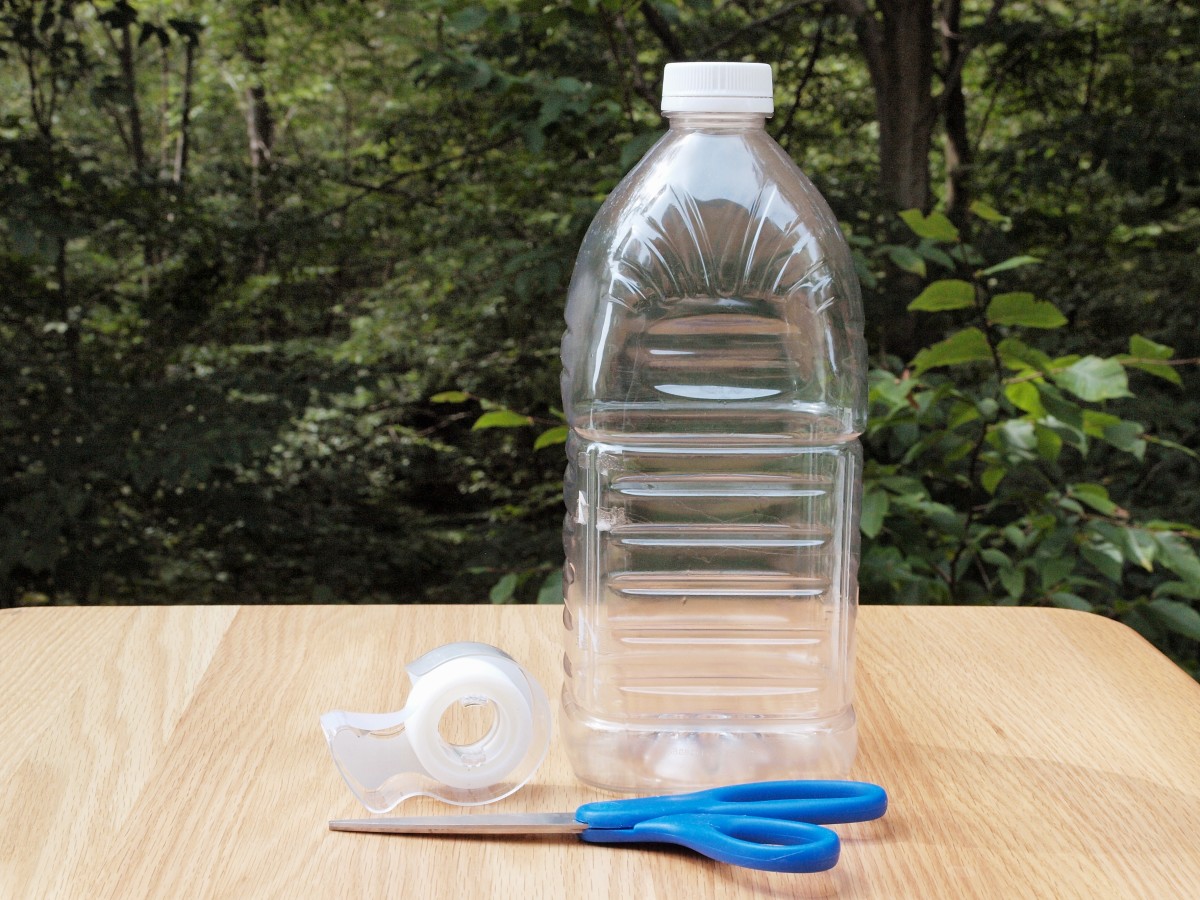 What you'll need for a DIY bottle fly trap.