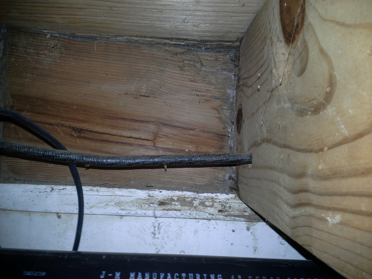 Water penetrating wood is an early indication of trouble. By the time my husband spotted it, termite droppings were already visible. Spot treatment was sufficient for this localized area.