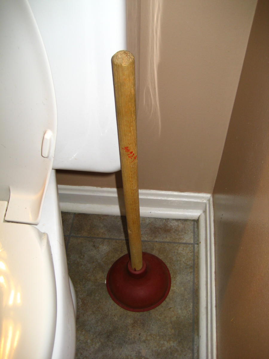 Attack a toilet clog with a plunger first.